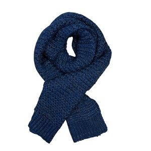 LOFT metallic blue chunky knit scarf